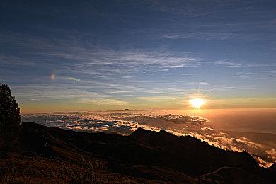 霸气五连冠！《DOTA2》巴厘岛Major GG再夺冠